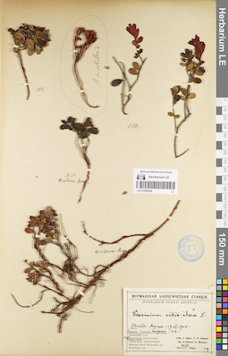 LE 01098386