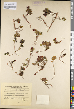 LE 01098388