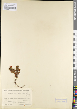 LE 01098389