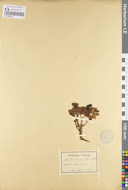 LE 01098390