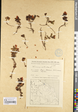 LE 01098407