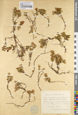 LE 01098408