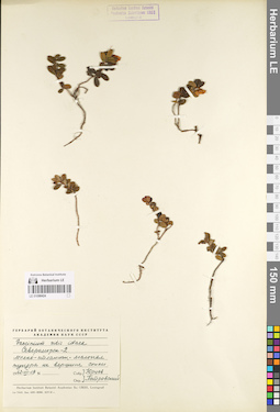 LE 01098424