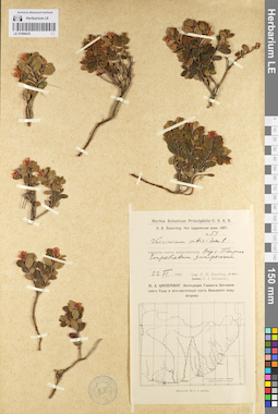 LE 01098425