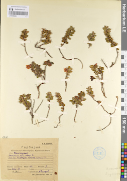 LE 01098429