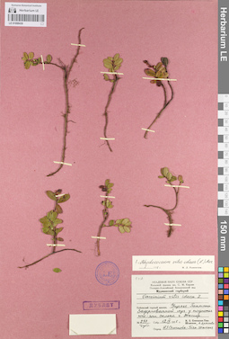 LE 01098430