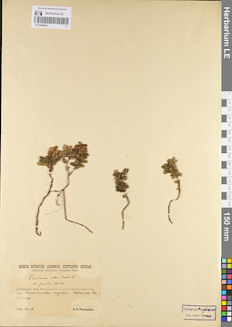 LE 01098431