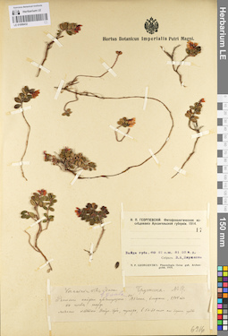 LE 01098432