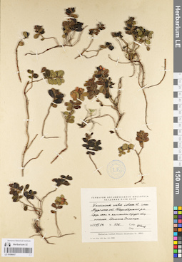 LE 01098437