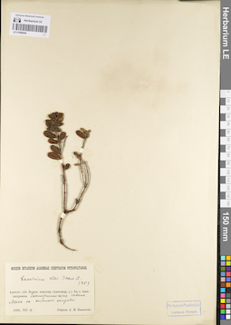 LE 01098440