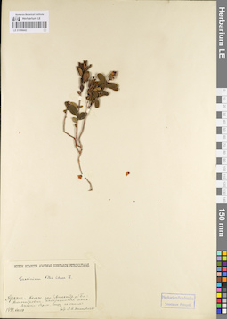LE 01098442