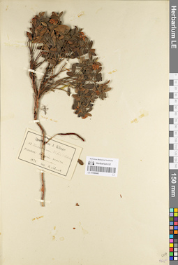 LE 01098448