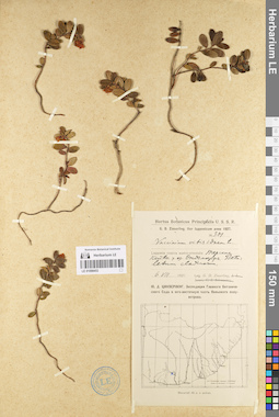 LE 01098453