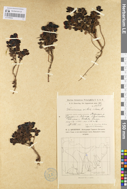 LE 01098454