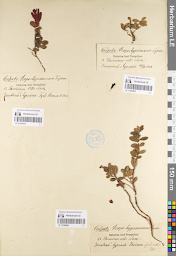 LE 01098458
