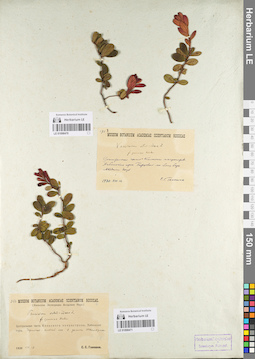 LE 01098471