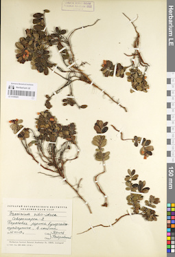 LE 01098491