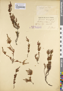 LE 01098510
