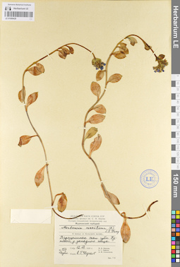 LE 01099429