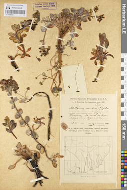 LE 01099436
