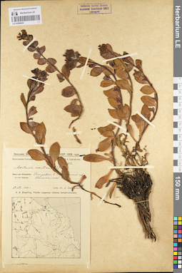LE 01099438
