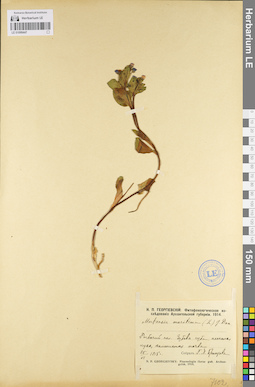 LE 01099447