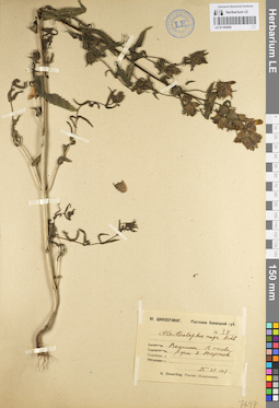 LE 01100485