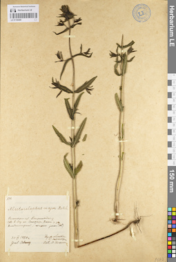 LE 01100489