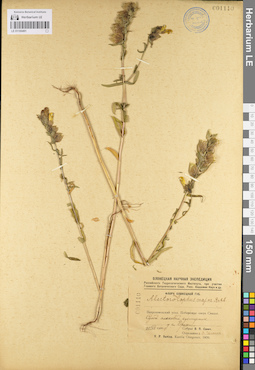 LE 01100491
