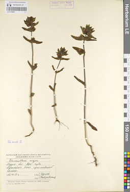 LE 01100501
