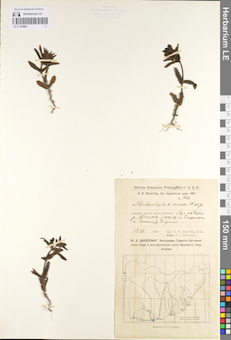 LE 01100504