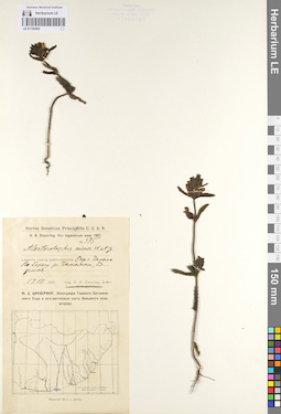 LE 01100505