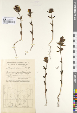 LE 01100506