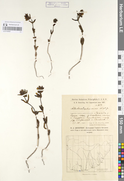 LE 01100507
