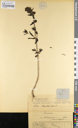 LE 01100518