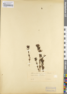 LE 01100561