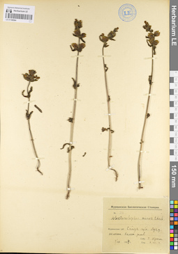 LE 01100564