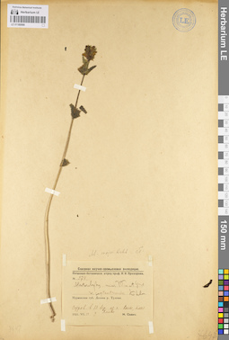 LE 01100568