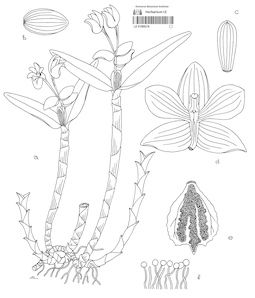 LE 01089216