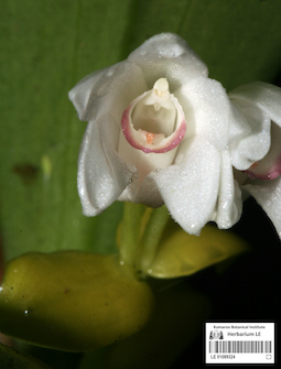 LE 01089324