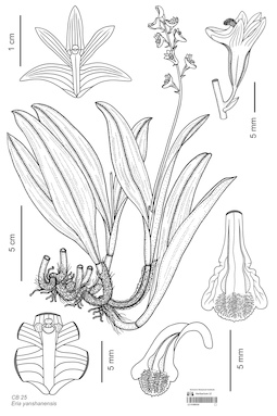 LE 01089330