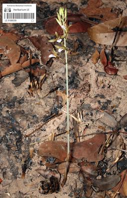 LE 01089359