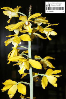 LE 01089362