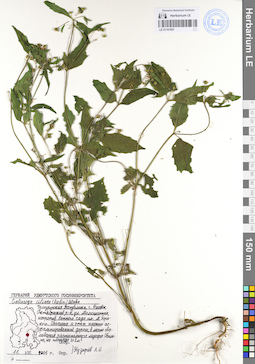 LE 01101857