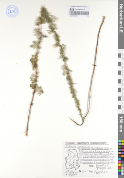 LE 01101926