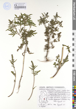 LE 01101933