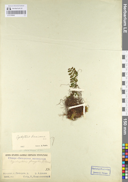 LE 01106046