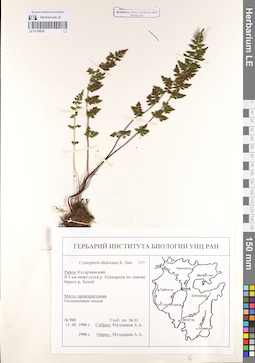 LE 01106058
