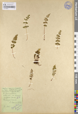 LE 01106072