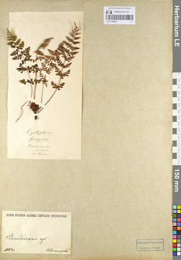 LE 01106507
